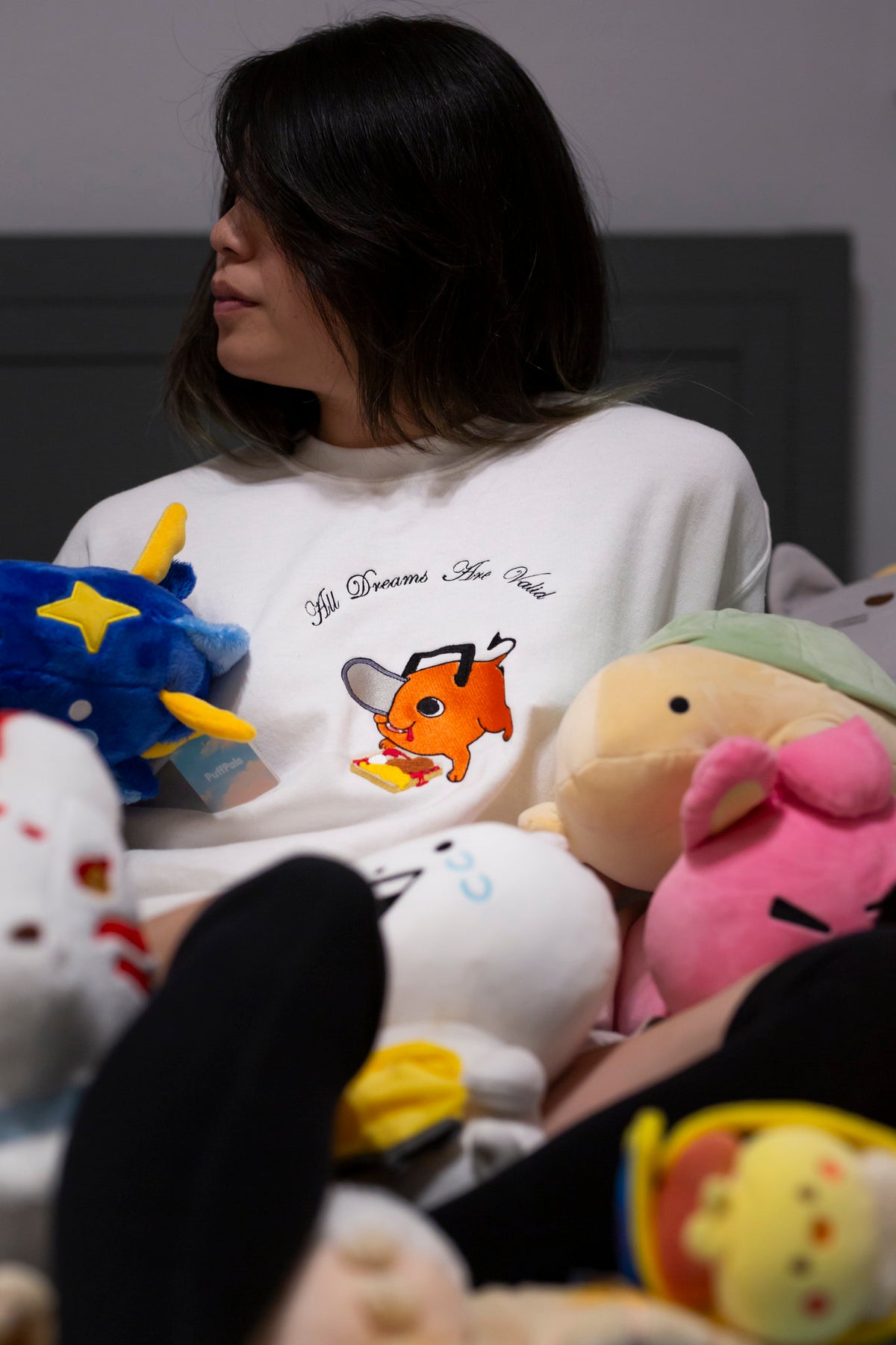 All Dreams Embroidered Sweatshirt